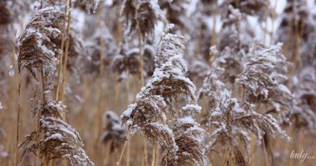 5609048e2d2bde83db7e2f668f735c22_08.01.26