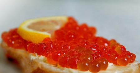 575eba68f64193fda55769e170c5f6fa_28.12.25