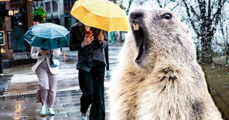 Буде хмарно й вітряно: синоптикиня про погоду в Україні 17 грудня