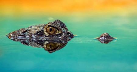 5953077657081ea0ee8330d58a5476d2_31.01.26_1