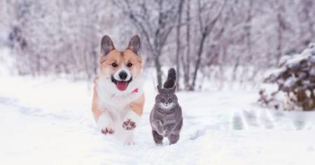 598d434a0949aaff1f35a8d08cbe9e75_22.01.26_1