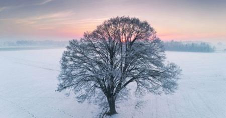 Погода на 6 лютого: де в Україні замість морозу очікується плюсова температура та опади