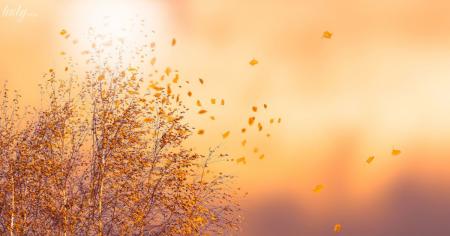 Гороскоп на 10 листопада для всіх знаків зодіаку: день, коли ідеєю стане прагнення справедливості