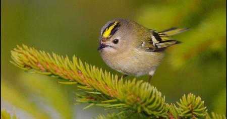 5d47144def2e4ee2df091e6b038d6a4e_13.10.25