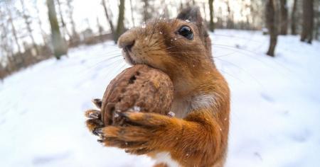 5ea9e43c64587eac5fa80fd5e083f864_06.11.25