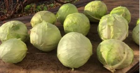 5edba7a0b7a23ad756fd94287019dc8f_02.12.25_1