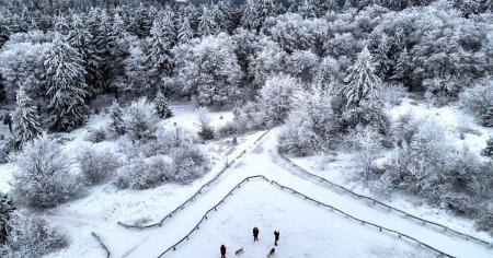 5ef3328c72469e564eacc4caee2e4d34_10.01.26