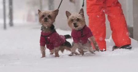 5f698f5d9e34ef63ff0798764a90655f_21.12.25_1