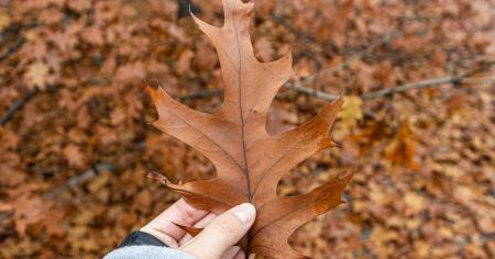 Погода в Україні у вихідні: синоптикиня попередила про відчутне похолодання