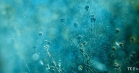 Гороскоп на 2 листопада для всіх знаків зодіаку: день, коли всі будуть вразливими та образливими