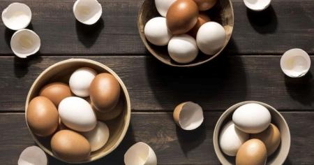 6212b0922b723dc49227b6015735380b_28.01.26_1