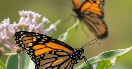 628f75bc3132948b866d7bdc31ec05f5_19.11.25