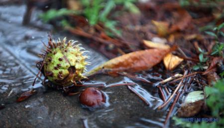 У середу в Україні дощитиме, в Карпатах прогнозують сніг