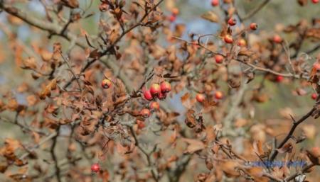 630_360_1699043267-108_25.11.25