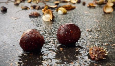 Україні в суботу прогнозують дощі, вдень до +14°