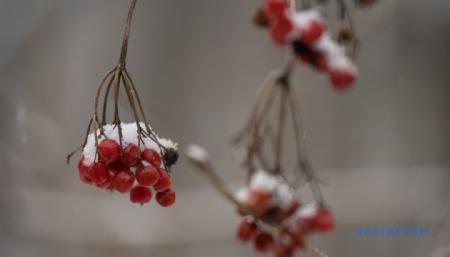 630_360_1765735886-277_27.12.25