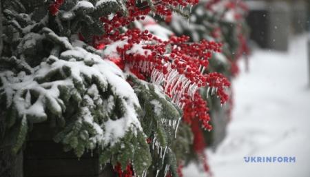 630_360_1767961202-906_11.01.26