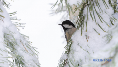 630_360_1768219577-256_14.01.26