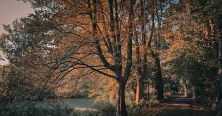 64a1162a9dfeac6881204afadabfb514_27.10.25