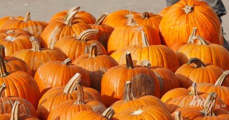 64ad71f02683648e84d8a8c39159b0a3_07.11.25