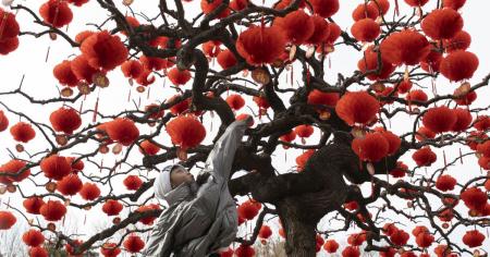 64fec0b2e03d1b953d6de2db3d0ea2f9_12.12.25