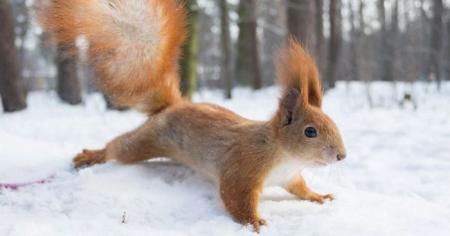 65664f94120205ea37779e053bccd3fe_15.01.26_1