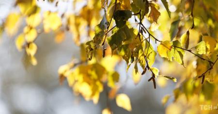 Гороскоп на 11 жовтня для всіх знаків зодіаку: день, коли можна здійснювати серйозні вчинки