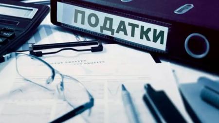 Злочинна схема експорту зерна на Житомирщині: ЗМІ розповіли про причетність депутатки Ірини Костюшко і Павла Бабіча