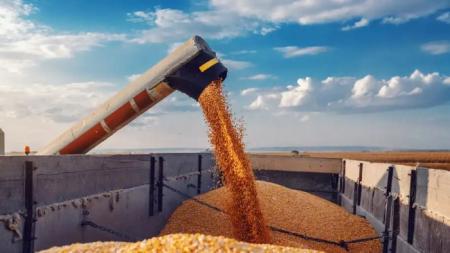 68169ac18141b_913.jpg_09.12.25_1