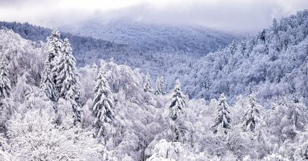 68a0246ef6542a1f4f78df7b28e57775_21.01.26