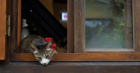 68c2b50e41243117fd6f4c3088b1c169_08.10.25