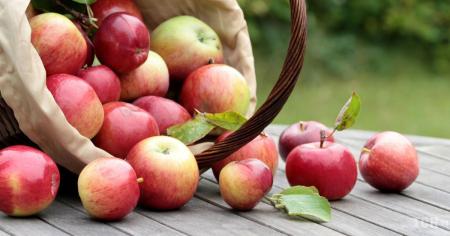 6a5d3c1fc3b89a35d7951e9e231e719e_15.10.25