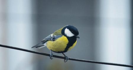 6b8120f033cd5f23f81fd4e2bfef4e7f_24.10.25