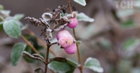 6c285b48f7e688fb4e56cbecbd6993b5_04.01.26_1