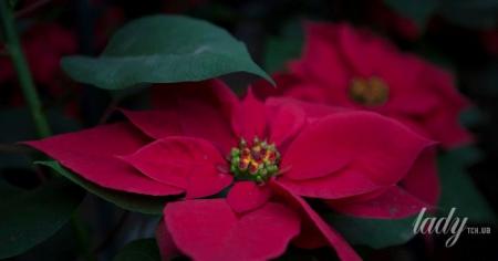 6d5eebd0e349761f643d9d1fb9c71647_08.12.25_1