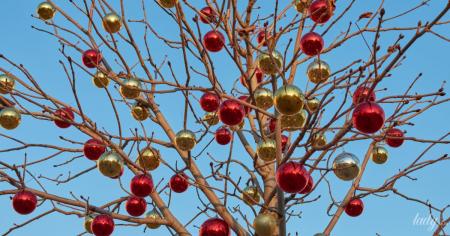 6db6921cc446dbcf90f57733a95da1eb_05.12.25