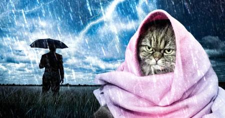 6ddc9376170c0084b2a88ee26bda922a_11.12.25