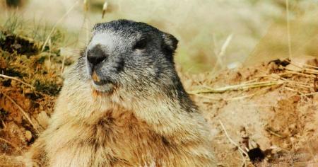 72ef1f235167c7d8c323a9071619c9d2_25.01.26