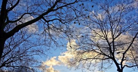 Погода на 7 листопада: синоптикиня здивувала прогнозом