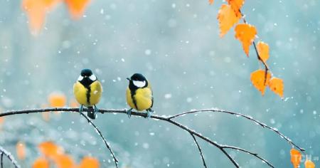 73cc779f0a08ad0370d7d89ff799ddc1_23.10.25