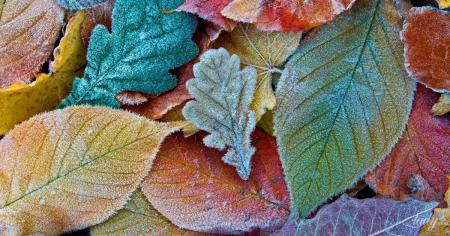 Гороскоп на 5 листопада для всіх знаків зодіаку: день, коли дуже важливо дбати про свій комфорт