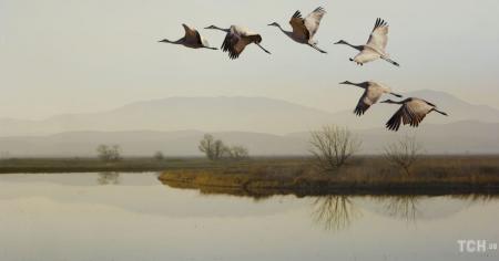 Гороскоп на 30 листопада для всіх знаків зодіаку: день, коли потрібно робити тільки дійсно важливі справи