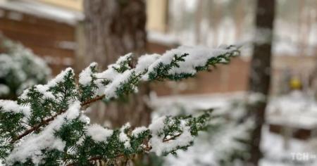 79ec4437d8bea4daeec74a511c890d8e_25.01.26_1