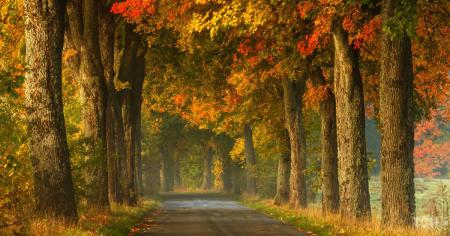 7a60171d89925edb141b1210d9ebf202_12.11.25