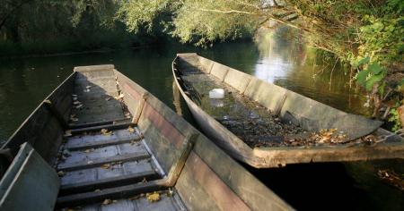 Гороскоп на 19 листопада для всіх знаків зодіаку: день, коли наша психіка буде беззахисною й ослабленою