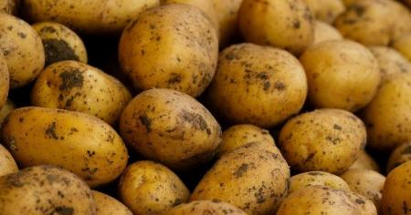 7ba6dd2231e457c8798ed6574f7d3d62_28.12.25_1