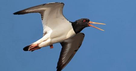 7bf24b0bd27f2a65774de3d0232363a9_20.10.25