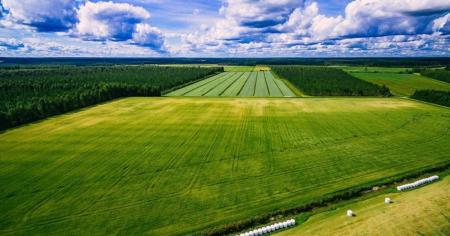 Коли українці втратять землю, яку не приватизували