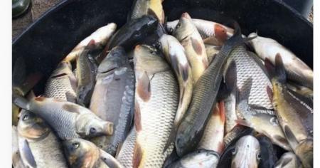 7efa3c8056e596d1adac87cbb9a953be_10.01.26_1