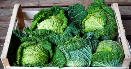 7f9eb53e585f76909739c7d629a45e0c_09.10.25